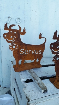 Deko Spaß Kuh mit der Schrift Servus ein wahrer Blickfang 25x25 cm